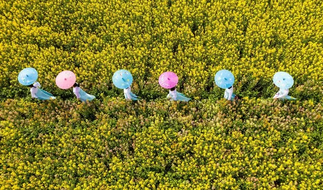 Villagers wearing cheongsam show in a rape flower field at yazhou Modern Agricultural Park in Haian City, East China's Jiangsu Province on March 23, 2022. (Photo by Costfoto/Sipa USA/Alamy Live News)