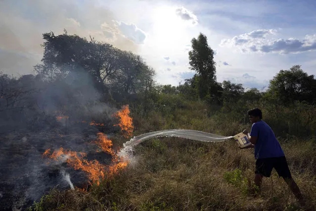A neighbor tries to douse a burning pasture during a brush fire at the Banco San Miguel neighborhood of Asuncion, Paraguay, Tuesday, January 18, 2022. Unusually dry weather is provoking fires on open fields, private ranches and public lands around the city. (Photo by Jorge Saenz/AP Photo)