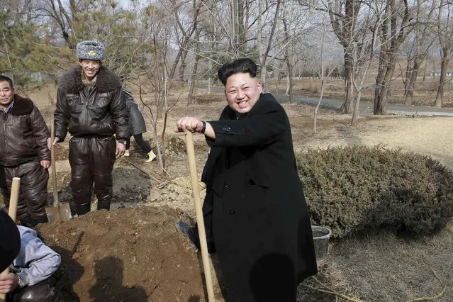 North Korean leader Kim Jong Un (R) smiles as he plants trees with fighter pilots from Unit 447 of the Korean People's Army (KPA) Air and Anti-Air Force honoured with the title of O Jung Hup-led 7th Regiment, in this undated photo released by North Korea's Korean Central News Agency (KCNA) in Pyongyang March 3, 2015. (Photo by Reuters/KCNA)