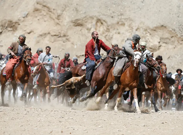 Afghan horsemen compete during a Buzkashi game in Panjshir province, north of Kabul, Afghanistan April 7, 2017. (Photo by Omar Sobhani/Reuters)