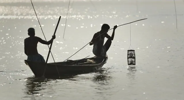 Indian fishermen catch fresh water prawns with their valve traps in the Brahmaputra River on the occasion of the World Environment Day in Morigaon district of Assam state, India, 05 June 2016. Hundreds of fresh water prawns are caught every day from the Brahmaputra River, even in their breeding season. Assam's government has put a ban on catching fish during breeding seasons but fishermen still illegally catch fish for their livelihood. (Photo by EPA/Stringer)