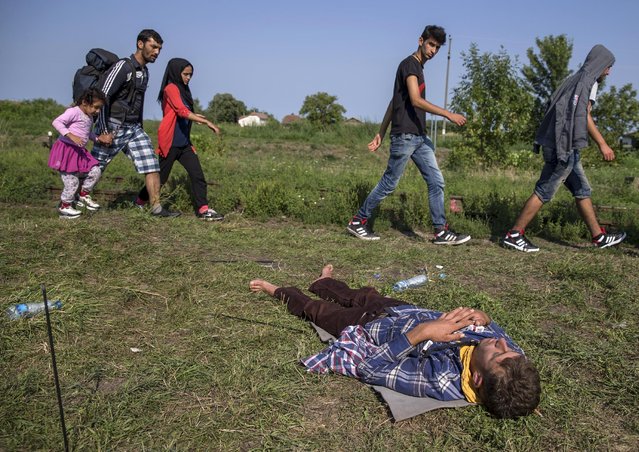 A Syrian migrant rests as other migrants walk past along a railway track to cross the Serbian border with Hungary near the village of Horgos August 27, 2015. (Photo by Marko Djurica/Reuters)