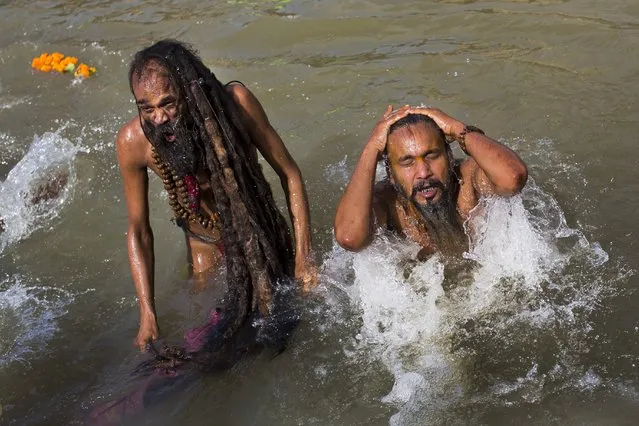 Indian Sadhus, or Hindu holy man, take a bath in the Godavari River during Kumbh Mela, or Pitcher Festival, in Nasik, India, Saturday, August 29, 2015. (Photo by Bernat Armangue/AP Photo)