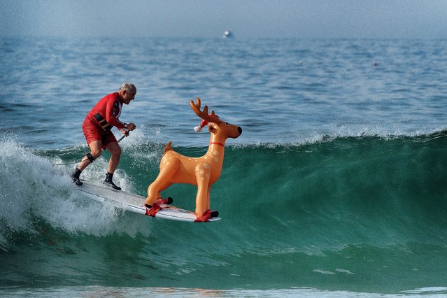 Mike Mitrowski takes off on a wave with his reindeer on his paddle board during the Surfing Santa event in Dana Point, Calif. on Sunday, December 8, 2024. (Photo by Richard Vogel/AP Photo)