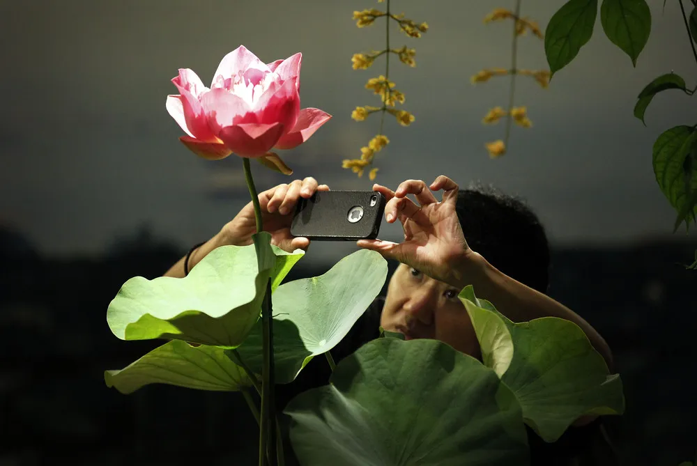 AP Photographer Wong Maye-E