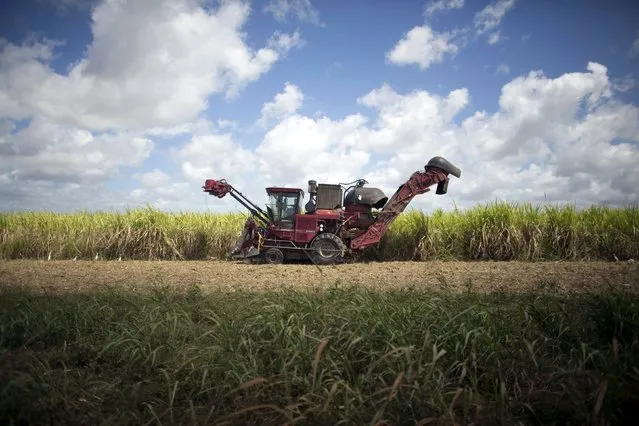 A sugarcane harvester is seen at a sugarcane field in Candelaria, Cuba, in this file image from March 3, 2015. (Photo by Alexandre Meneghini/Reuters)