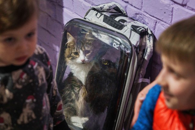 Cats sit in a backpack in a school basement being used as a shelter after a Russian airstrike on a residential neighborhood in Kyiv, Ukraine, on Thursday, April 24, 2025. (Photo by Evgeniy Maloletka/AP Photo)