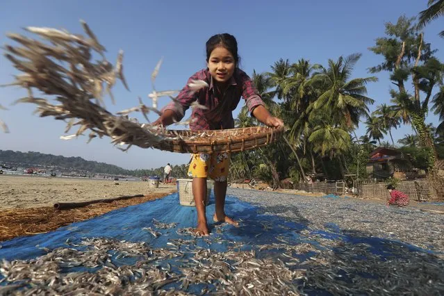 A woman spreads out fish to dry at Ngapali Beach near a fishing village in Myanmar's western Rakhine State, Saturday, December 31, 2022. (Photo by Aung Shine Oo/AP Photo)