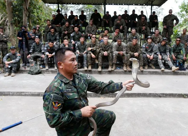 A Thai Marine instructor gives instruction to US and South Korean Marines on how to catch cobras during jungle survival training as part of the multinational joint military exercise Cobra Gold 2018 at a Force Reconnaissance Battalion camp in the Royal Thai Naval Base, Sattahip district, Chonburi province, Thailand, 19 February 2018. (Photo by Rungroj Yongrit/EPA/EFE)