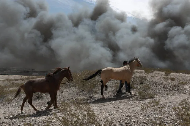 In this May 2, 2018 photo, horses are rescued during a fire at a recycling plant on the outskirts of Ciudad Juarez, Mexico. Juarez authorities declared an environmental emergency due to harmful particulate matter in the smoke, and people in its path were advised to stay inside, shut windows and doors and not use air conditioners under any circumstances. (Photo by Christian Torres/AP Photo)