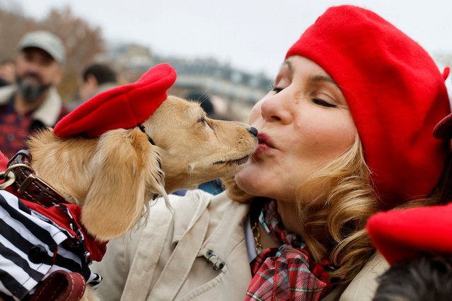 A dachshund kisses a woman as they take part in the annual Paris Sausage Walk, also known as the march of the dachshunds, in Paris, France, on November 16, 2025. (Photo by Stephanie Lecocq/Reuters)