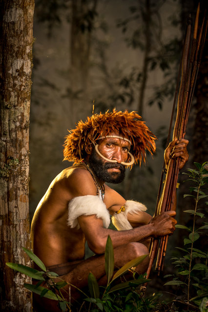 Dani tribe warrior with weapons in, Western New Guinea, Indonesia, August 2016. (Photo by Teh Han Lin/Barcroft Images)