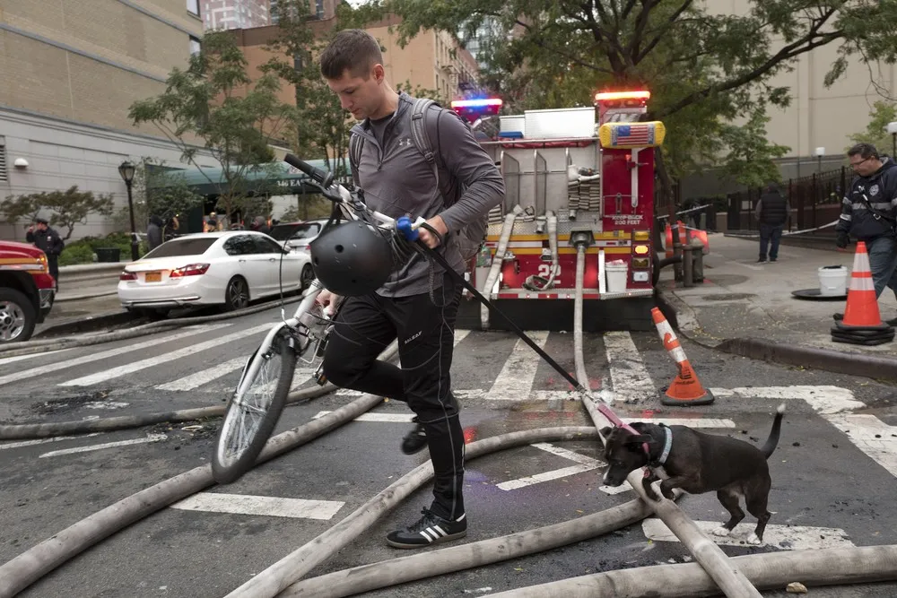 A Look at Life in USA