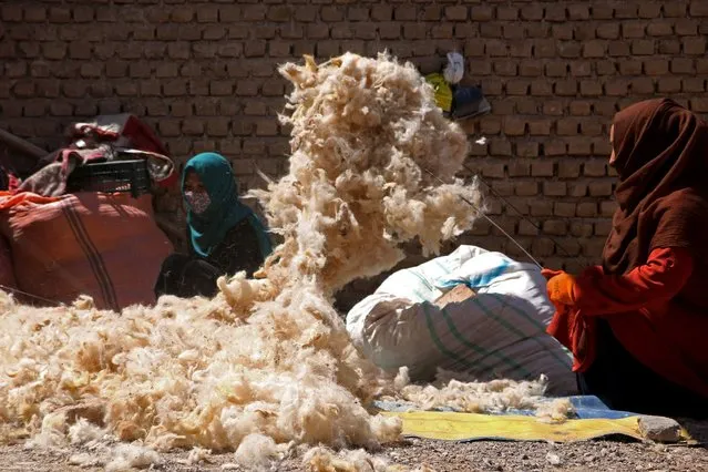 Afghan women clean wool with sticks at a traditional factory in the Herat province of Jibrail district on August 7, 2023. (Photo by Mohsen Karimi/AFP Photo)
