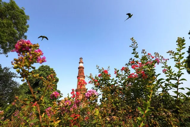 Birds fly past the Qutub Minar ahead of the G20 Summit in New Delhi, India on September 5, 2023. (Photo by Anushree Fadnavis/Reuters)