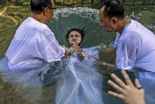 A Christian pilgrim from Indonesia is baptised during a ceremony in the waters of the Jordan River at Yardenit in northern Israel, on October 10, 2022. According to the gospel Jesus Christ was baptized in the water of the Jordan River by John the Baptist. Evangelical pilgrims arrived in Israel during the Jewish holiday of Sukkoth or the Feast of Tabernacles to show their support of the Jewish state. (Photo by Menahem Kahana/AFP Photo)