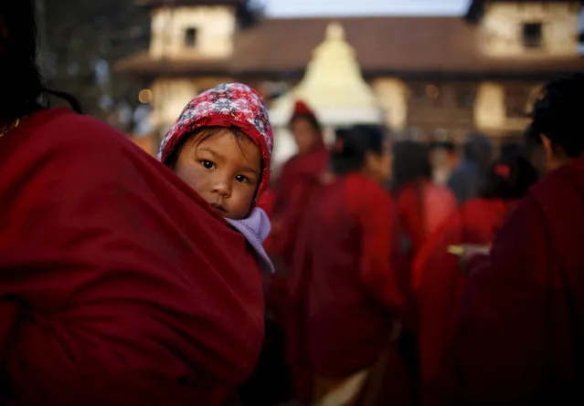 A devotee carrying a child takes part in the Swasthani Bratakatha festival in Panauti near Kathmandu, Nepal, February 12, 2016. (Photo by Navesh Chitrakar/Reuters)
