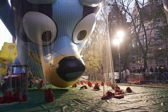 The Macy's inflation team works on giant balloons as they prepare ahead of the 96th Macy's Thanksgiving Day Parade in New York City, United States on November 23, 2022. (Photo by Lokman Vural Elibol/Anadolu Agency via Getty Images)