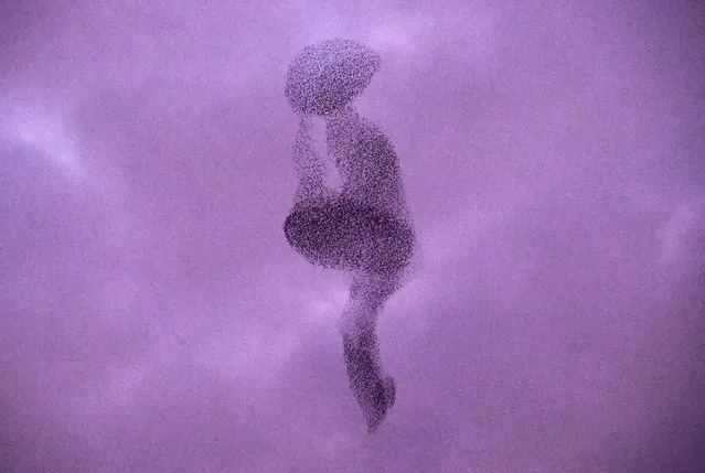 A murmuration of starlings fly in the sky at sunset in Rome on January 3, 2022. (Photo by Tiziana Fabi/AFP Photo)