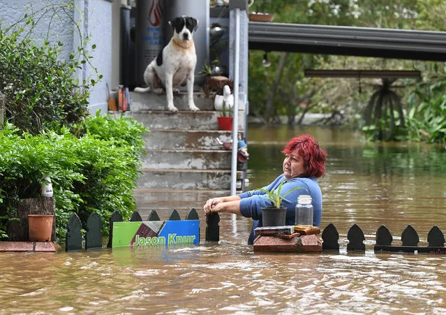 A woman attempts to access her home as her dog looks on in central Lismore, New South Wales, Australia, 31 March 2017. The Wilsons River breached its banks early this morning, flooding the far-northern New South Wales town. (Photo by Dave Hunt/EPA)