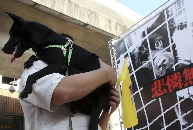 In this September 17, 2011 file photo, a Taiwanese man holds his dog during a gathering to demand establishment of a government department to protect dogs and cats from their owners who abused or dumped the animals in Taipei, Taiwan. Taiwan on Wednesday, April 12, 2017 has banned the sale and consumption of dog and cat meat and increased the penalty for animal cruelty. (Photo by Chiang Ying-ying/AP Photo)