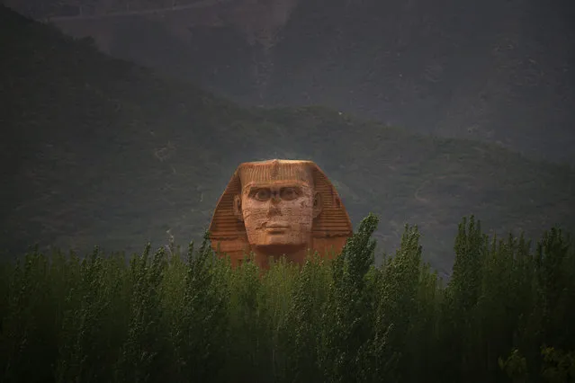 The head of a full-scale replica of the Sphinx, which is part of an unfinished theme park that will also accommodate the production of movies, television shows and animation, is seen behind trees on the outskirts of Shijiazhuang, Hebei province May 15, 2014. The replica is a venue of a film studio which is already functioning. The theme park is scheduled to open this October, local media reported. (Photo by Petar Kujundzic/Reuters)