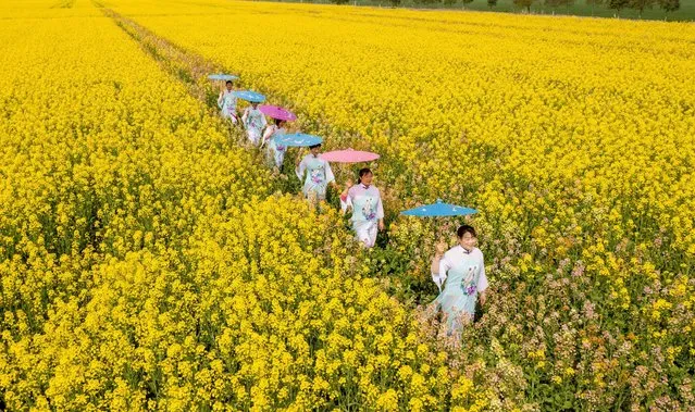 Villagers wearing cheongsam show in a rape flower field at yazhou Modern Agricultural Park in Haian City, East China's Jiangsu Province on March 23, 2022. (Photo by Costfoto/Sipa USA/Alamy Live News)