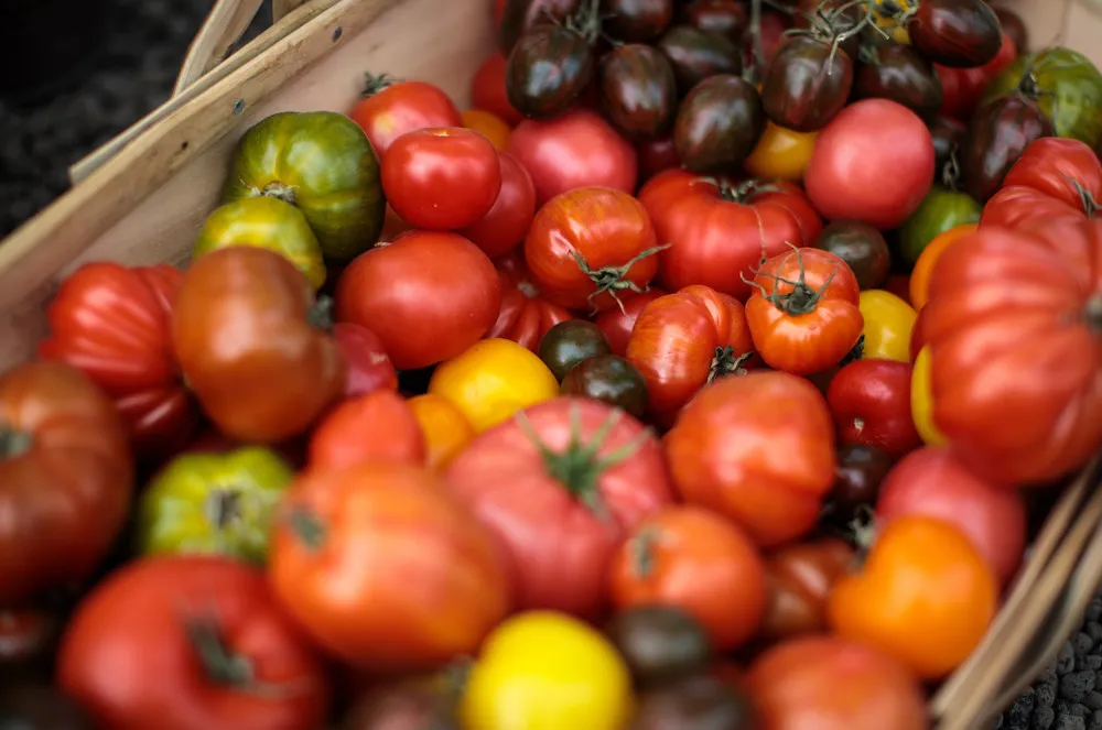 Chelsea Flower Show 2017