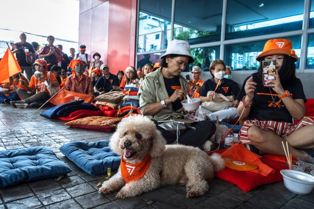 Supporters gather at the Move Forward Party (MFP) headquarters in Bangkok on August 7, 2024, as Thailand's Constitutional Court ruled whether former MFP leader Pita Limjaroenrat was to receive a decade-long ban and dissolve his party after challenging royal defamation laws. A popular Thai politician facing a decade-long ban after challenging royal defamation laws said he was “highly confident” of a ruling in his favour by Thailand's top court expected on August 7. (Photo by Chanakarn Laosarakham/AFP Photo)