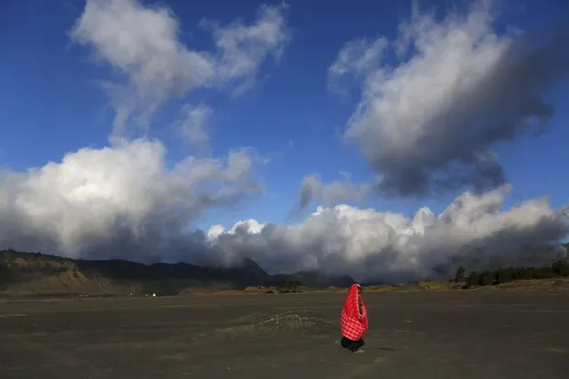 A Hindu villager walks at Mount Bromo ahead of the annual Kasada festival in Indonesia's East Java province, July 30, 2015. (Photo by Reuters/Beawiharta)