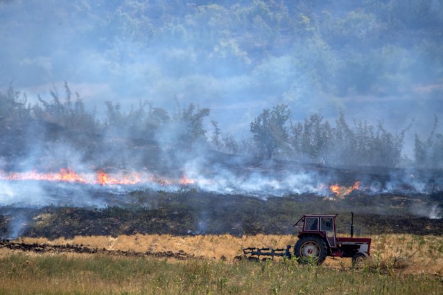 Local volunteers help to get a fire under control close to the village of Gjugjantse, near Sveti Nikole, Republic of North Macedonia 01 August, 2024. North Macedonia is under attack from uncontrolled forest fires throughout the country. Due to the fact that North Macedonia does not have enough planes and helicopters to extinguish the fires, the country sought help from the European Union in fighting the fires. Over the past few days, more than 50 houses in villages in the Eastern part of the country have burned down. (Photo by Georgi Licovski/EPA/EFE)