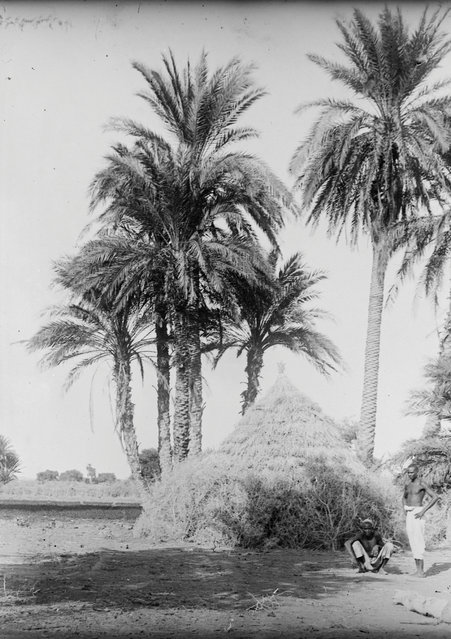 The head was buried underneath a doorway to a building thought to be a victory monument or temple – in walking over the head, Meroites would effectively reiterate their victory. The piece is now owned by the British Museum. Here: Traditional east African Tukul house, near the site of Meroë, 1910. (Photo by Garstang Museum of Archaeology)