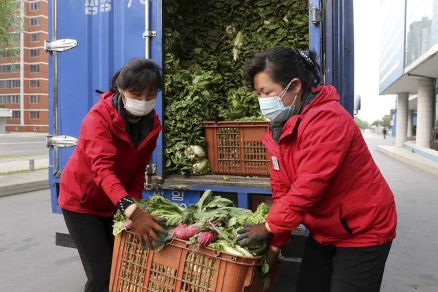 Employees of a greengrocery in Mirae Scientists Street carry cabbages to supply to residents staying home as the state increased measures to stop the spread of illness in Pyongyang, North Korea Monday, May 16, 2022. (Photo by Jon Chol Jin/AP Photo)