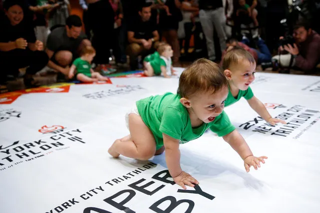 Babies compete in the 2017 “Diaper Derby” crawling race, a promotion event ahead of the New York City Triathlon in New York City, U.S., July 14, 2017. (Photo by Mike Segar/Reuters)