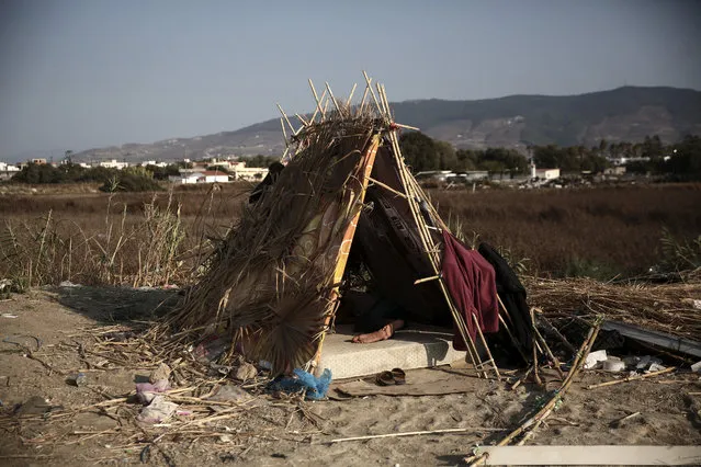 A migrant sleeps inside a makeshift hut which have been set up outside an abandoned hotel where dozens of migrants have been living the last weeks at Kos town, on the southeastern island of Kos, Monday, August 10, 2015. The European Union is granting 2.4 billion euros/$2.6 billion to EU nations to upgrade their migration programs with the biggest sums going to Greece and Italy where thousands of refugees have arrived this year. (Photo by Yorgos Karahalis/AP Photo)