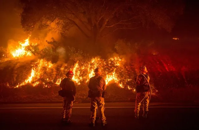 Firefighters monitor flames on the side of a road as the Detwiler fire rages on near the town of Mariposa, California on July 18, 2017. (Photo by Josh Edelson/AFP Photo)