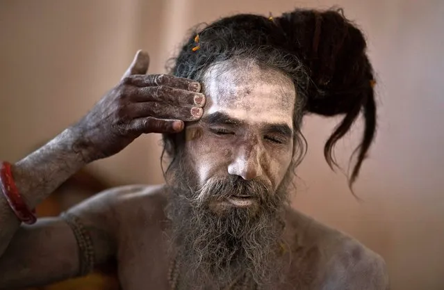 A Hindu holy man smears his face with sacred ash on the eve of annual Ambubasi festival at the Kamakhya Hindu temple in Gauhati, India, June 21, 2016. Hundreds of Hindu holy men have arrived to perform rituals at the temple during the five days long festival that begins Wednesday. (Photo by Anupam Nath/AP Photo)