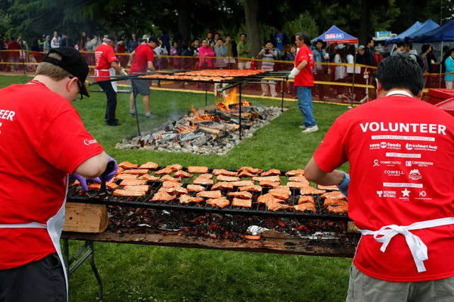 Volunteers tend some of the 3,000 pieces of salmon they'll end up cooking over an alder wood fire to celebrate Canada Day at the annual Steveston Salmon Festival in Richmond, British Columbia, Canada July 1, 2016. (Photo by Jonathan Ernst/Reuters)