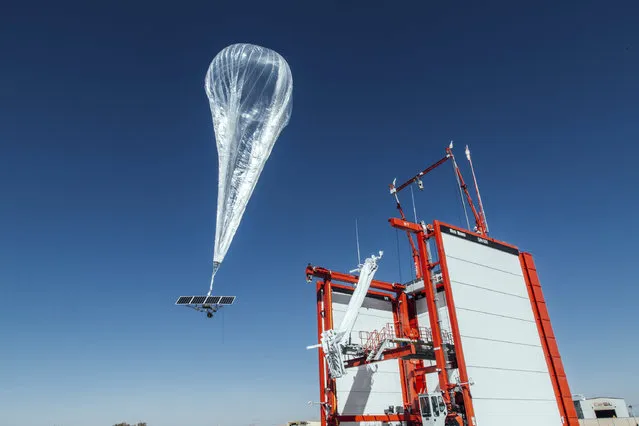 This Wednesday, October 18, 2017 photo provided by Project Loon shows a stratospheric balloon taking off for Puerto Rico from the project site in Winnemucca, Nev. Google's parent Alphabet Inc. said Friday that its stratospheric balloons are now delivering the internet to remote areas of Puerto Rico where cellphone towers were knocked out by Hurricane Maria. Two of the search giant's “Project Loon” balloons are already over the country enabling texts, emails and basic web access to AT&T customers with handsets that use its 4G LTE network. (Photo by Project Loon via AP Photo)