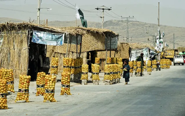 Pakistani vendors sell apples on a roadside stall in Killa Abdullah, a district in the north west of Balochistan province on August 29, 2017. Pakistan has postponed a visit by a US diplomat who had been due to arrive on September 4, a week after President Donald Trump publicly upbraided Islamabad for harbouring militants attacking US and Afghan troops. (Photo by Banaras Khan/AFP Photo)