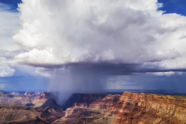 A lightning bolt at the Grand Canyon hits on the top of one of the little island plateaus on the eastern side as seen from Navajo Point on August 4, 2017. (Photo by Mike Olbinski/Caters News Agency)