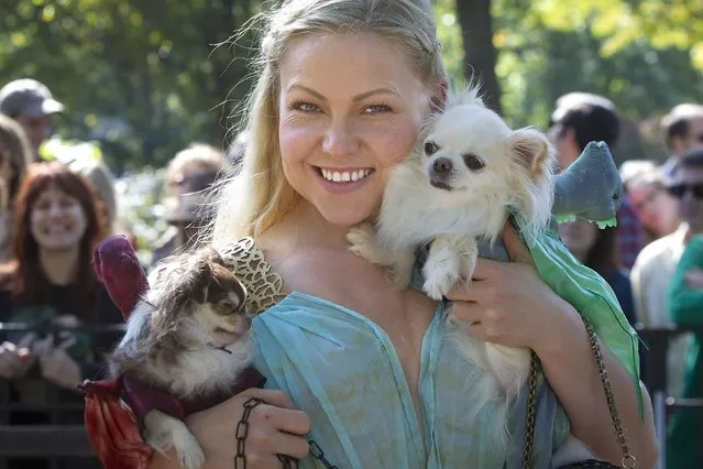 A woman poses for a photo dressed as Daenerys Targaryen from Game of Thrones with her dogs during the 24th Annual Tompkins Square Halloween Dog Parade in New York October 25, 2014. (Photo by Carlo Allegri/Reuters)