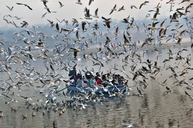 People take a ride on a boat to feed seagulls at the bank of Yamuna river in early hours of Sunday on the first day of New Year, New Delhi, India on January 01, 2023. (Photo by Pankaj Nangia/Anadolu Agency via Getty Images)