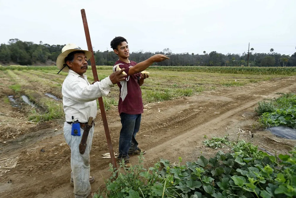 Four Seasons of Chino Farm