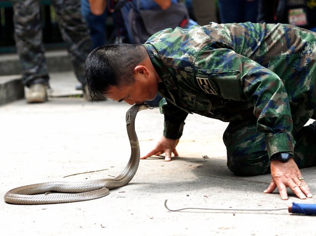 A Thai Marine instructor kisses a cobra as he teaches US and South Korean Marines how to catch cobras during jungle survival training as part of the multinational joint military exercise Cobra Gold 2018 at a Force Reconnaissance Battalion camp in the Royal Thai Naval Base, Sattahip district, Chonburi province, Thailand, 19 February 2018. (Photo by Rungroj Yongrit/EPA/EFE)