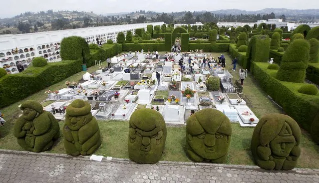 People clean graves at a cemetery known for its topiary art, during the observance of the Day of the Dead, in Tulcan, Ecuador November 2, 2015. (Photo by Guillermo Granja/Reuters)