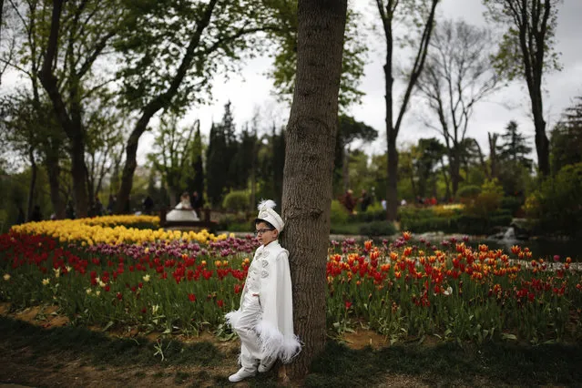 A boy poses for photos near a field of blooming tulips on display in the Emirgan Park in Istanbul, Wednesday, April 18, 2018. Every April Istanbul celebrates the coming of spring with the annual Tulip Festival, now in it's 11th year. Parks and gardens all across Istanbul come alive with the flowers bright colours attracting tourists and local visitors. (Photo by Emrah Gurel/AP Photo)