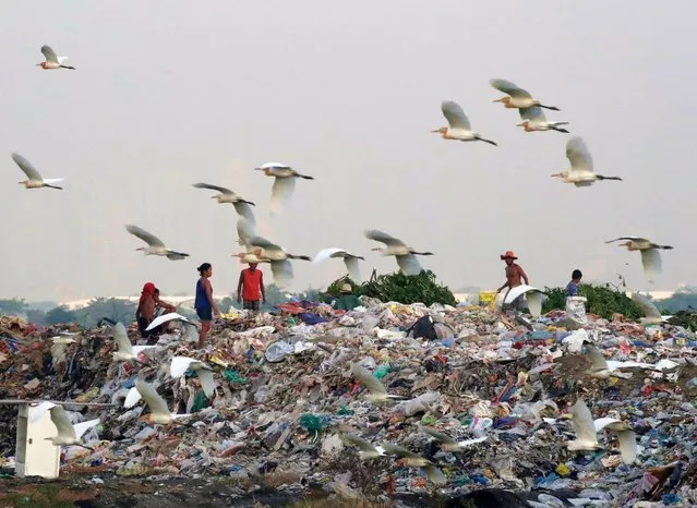 A flock of egrets searches for food at a garbage dump site on the eve of Earth Day in Angono, Metro Manila, Philippines, 21 April 2023. Earth Day is celebrated worldwide annualy on April 22. (Photo by Francis R. Malasig/EPA)