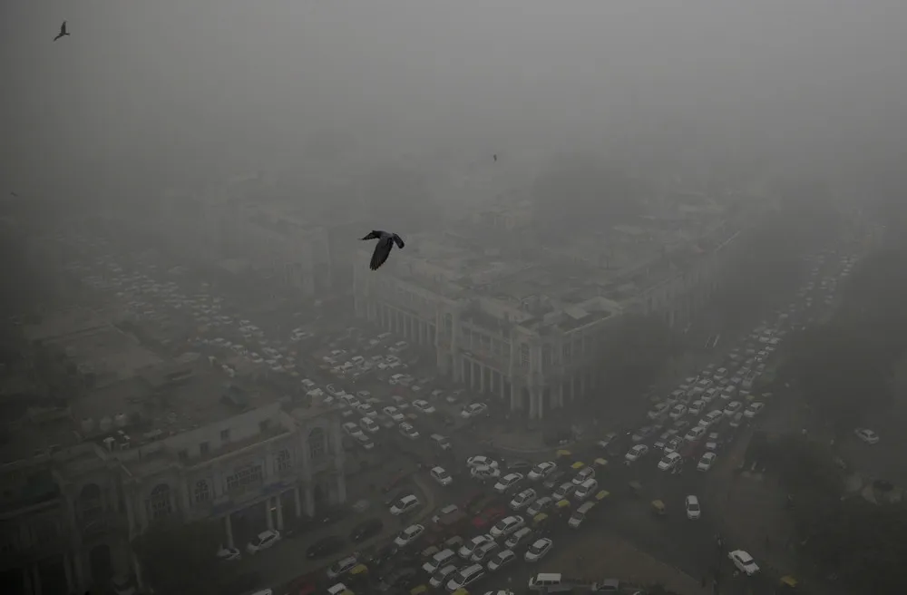 The Day in Photos – November 8, 2016