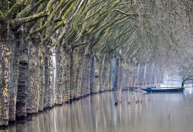 This photograph taken on February 2, 2025, shows the “Reculee” district in Angers, a former fishing district built on the edge of the Maine river, suberged in flood water. The water level continued to lower in the communes of western France affected by flooding since last weekend, but the return to normal will be gradual and will take “several more days”, according to the latest forecasts. (Photo by Jean-Francois Monier/AFP Photo)